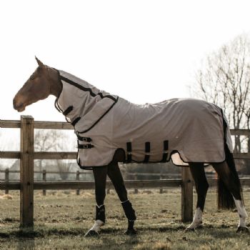 Kentucky Mesh Fly Rug